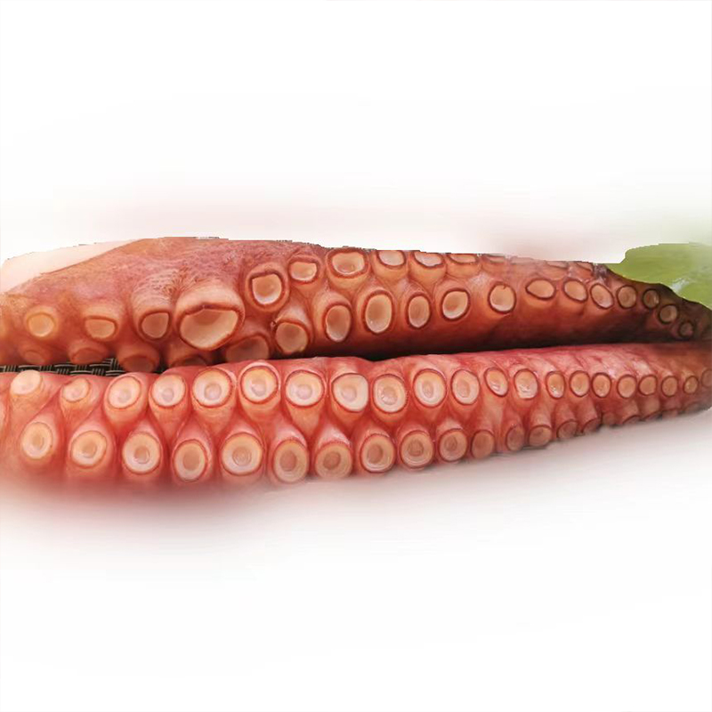 Fresh Boiled Frozen Cooked Octopus Tentacles