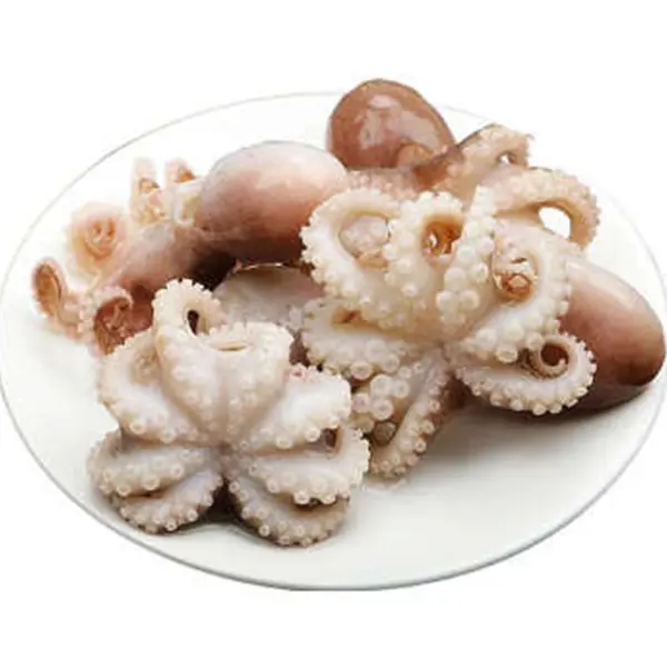 Premium Quality Frozen Baby Octopus