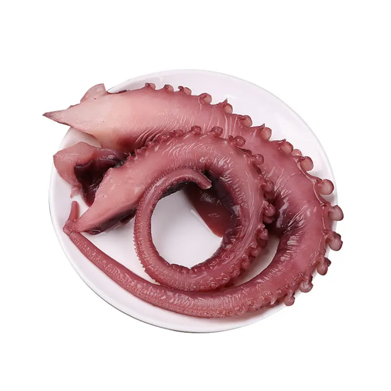 Frozen Squid Tentacle Strip Cut/ Frozen Giant Squid Tentacle/Calamari/Frozen Seafood