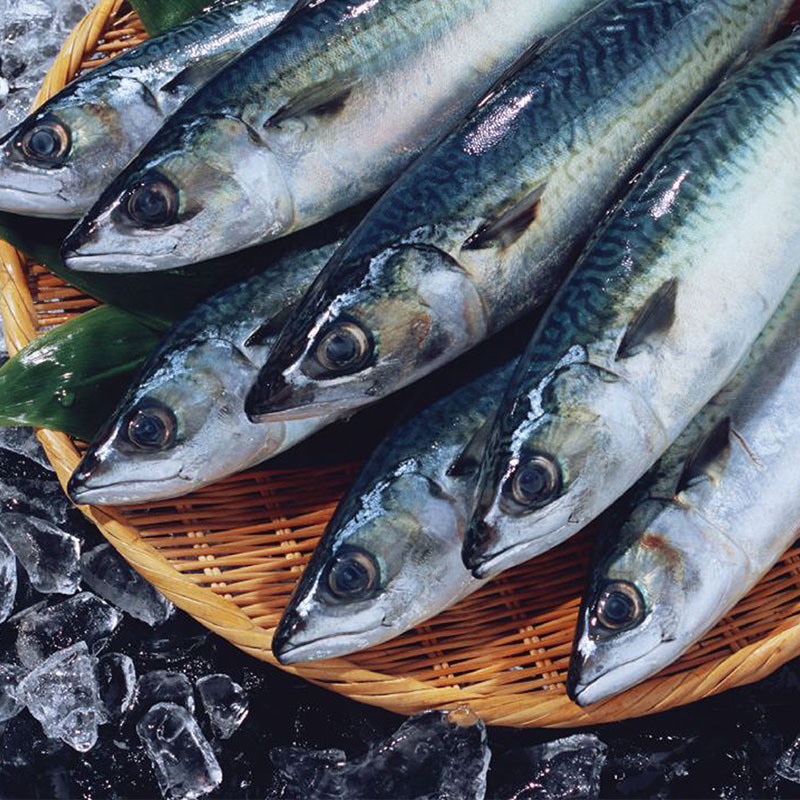3 Frozen Fish Productswvk