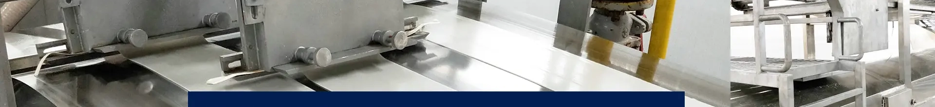 China Frozen Long Leg Octopus