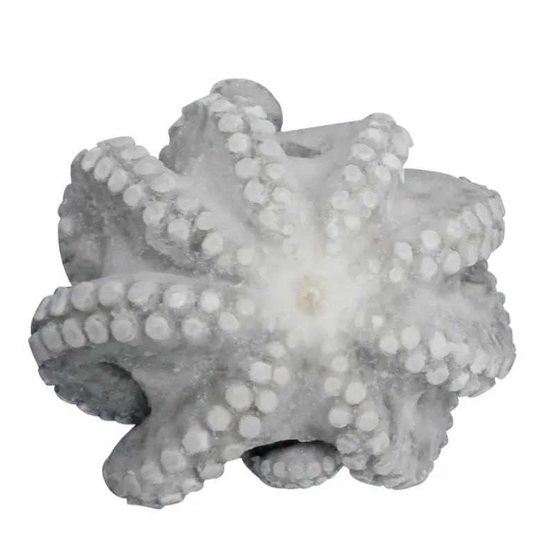 Frozen Fresh Seafood Wholesale Octopus Vulgaris Cooked Whole