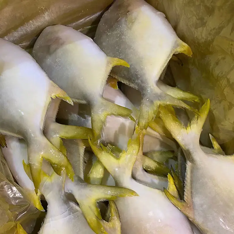 High Quality Frozen Golden Pompano Pomfret Whole Round (3)a1t